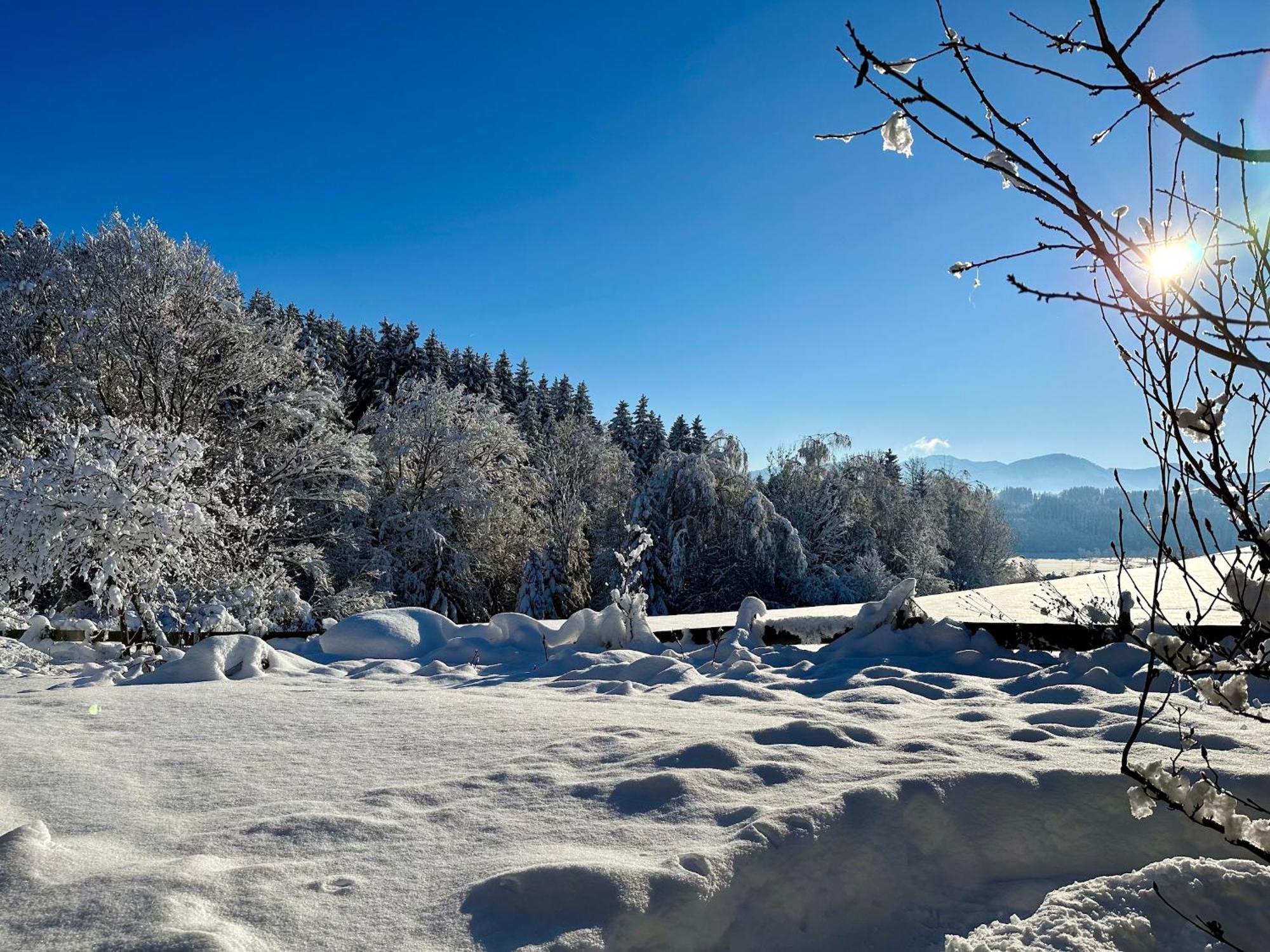 Вилла Landsitz Rocky Docky Niedersonthofen Экстерьер фото